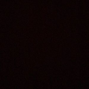 Meet your Posher, Savannah